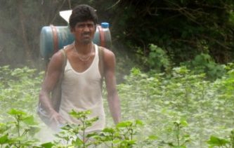 Cotton_farmer